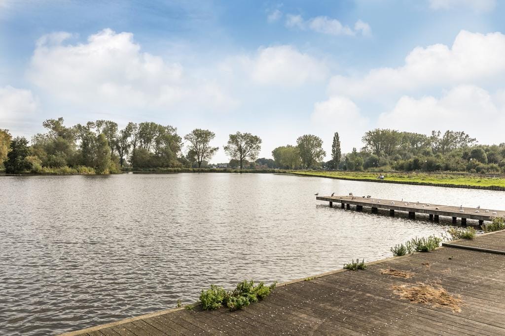 Photo 31 of Charta 77-Vaart 45