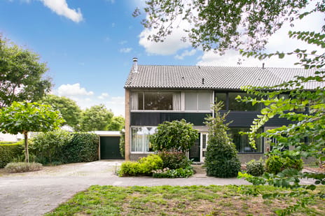 Laan 1954 thumbnail