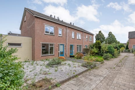 Goudenregen thumbnail