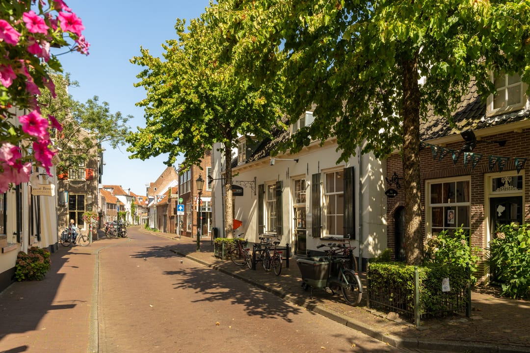 Foto 46 van Coninckstraat 14