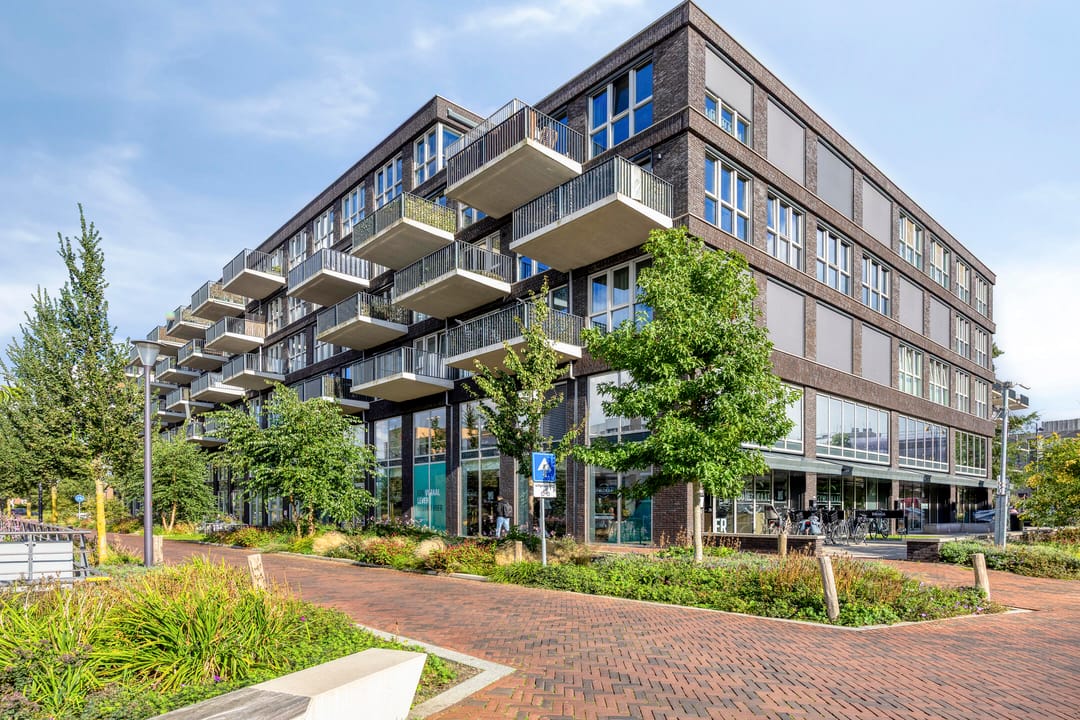Foto 7 van Lapis Lazuli 54