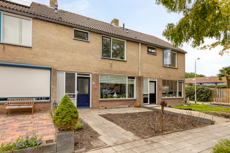 Hoogaarsstraat thumbnail
