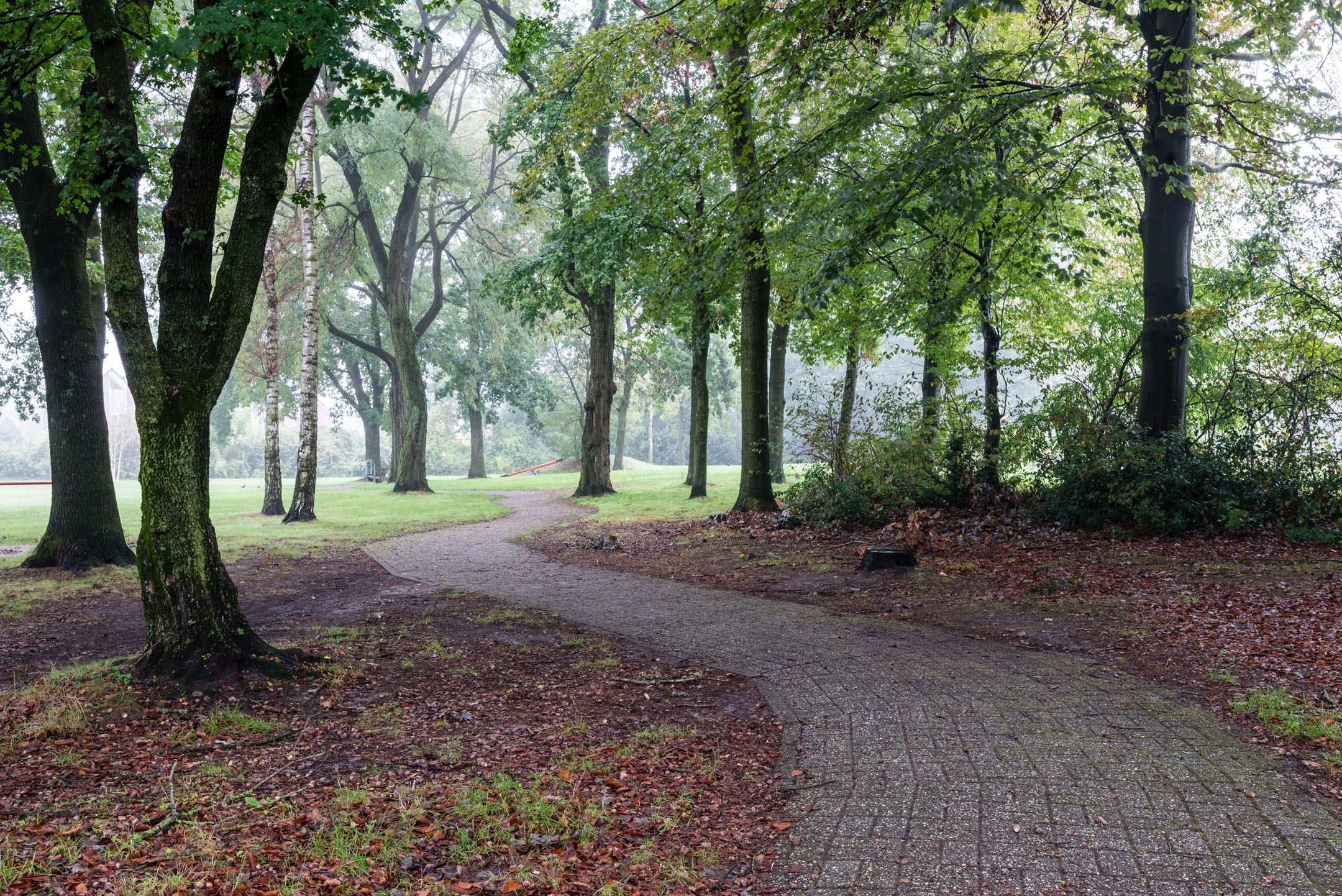 Foto 42 van de Slotenmaker 9