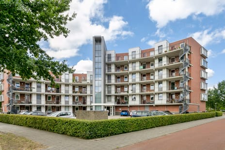 Oldenallerhout thumbnail
