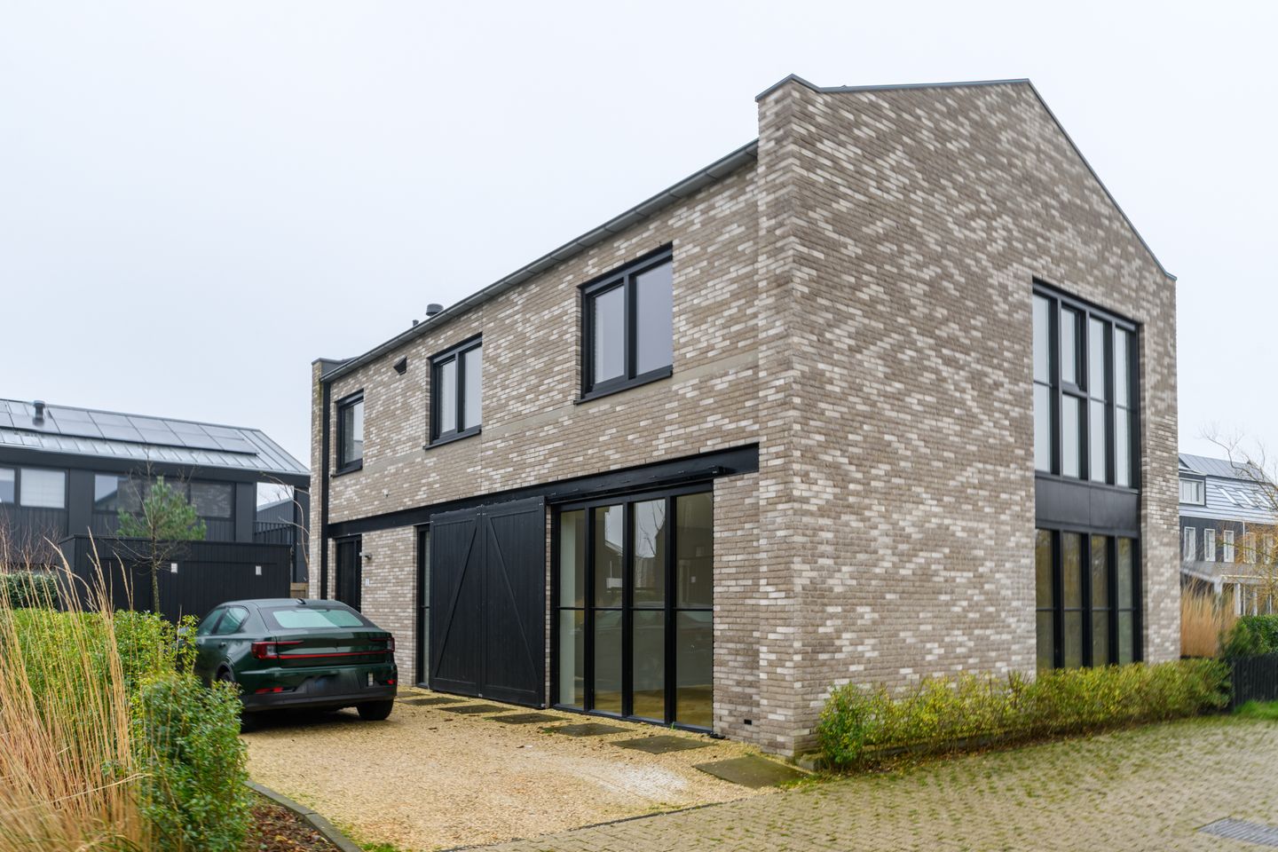 Photo 29 of Groene kikker 2