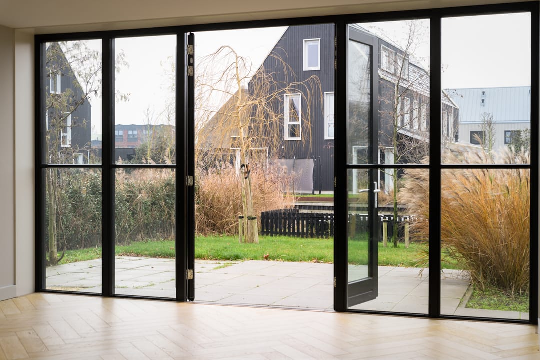 Photo 11 of Groene kikker 2