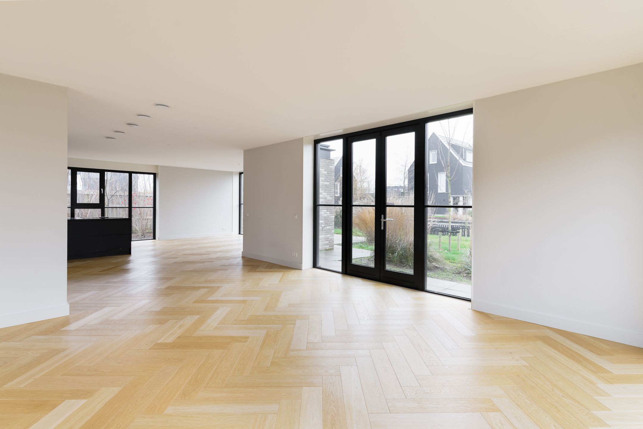 Photo 6 of Groene kikker 2