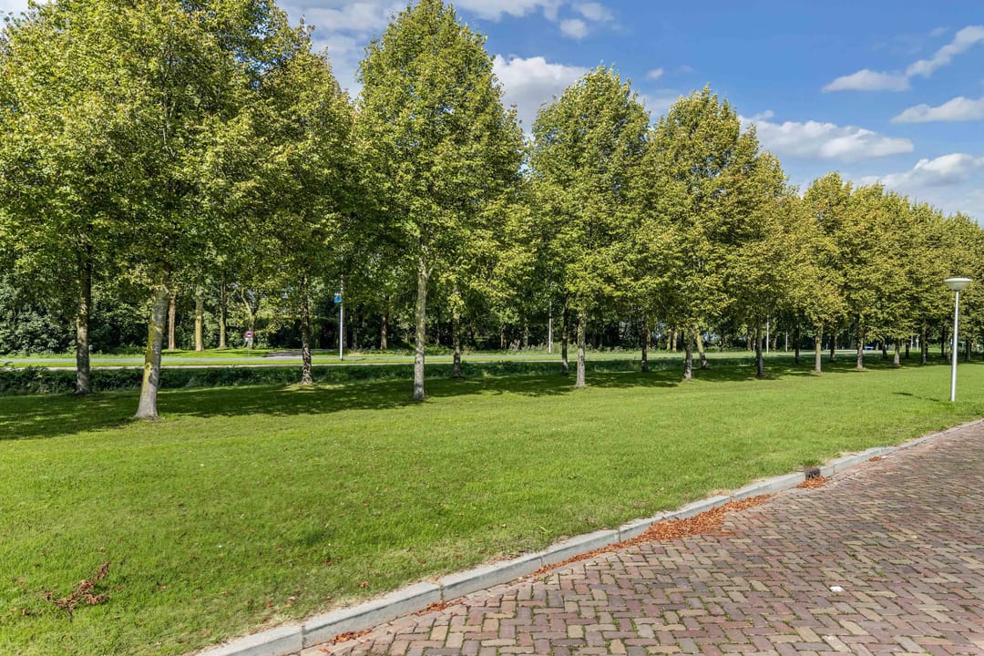 Foto 46 van Noorderlaan 25