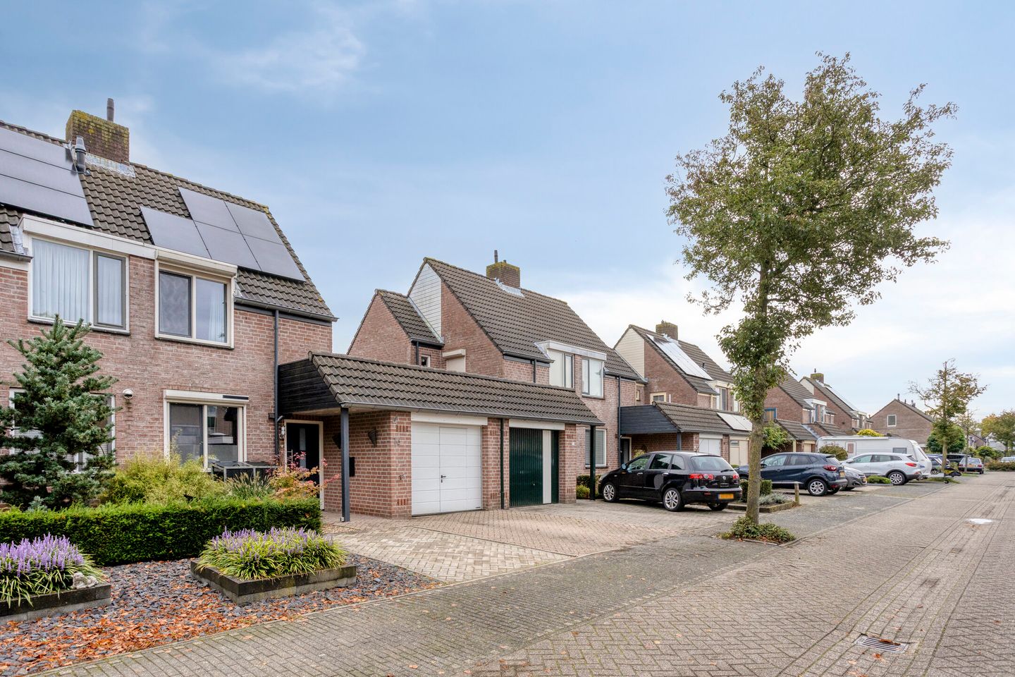 Foto 4 van Schapeweide 16