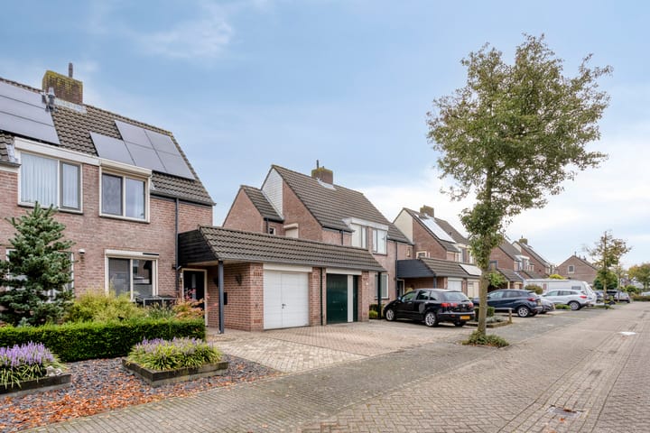 Foto 4 van Schapeweide 16