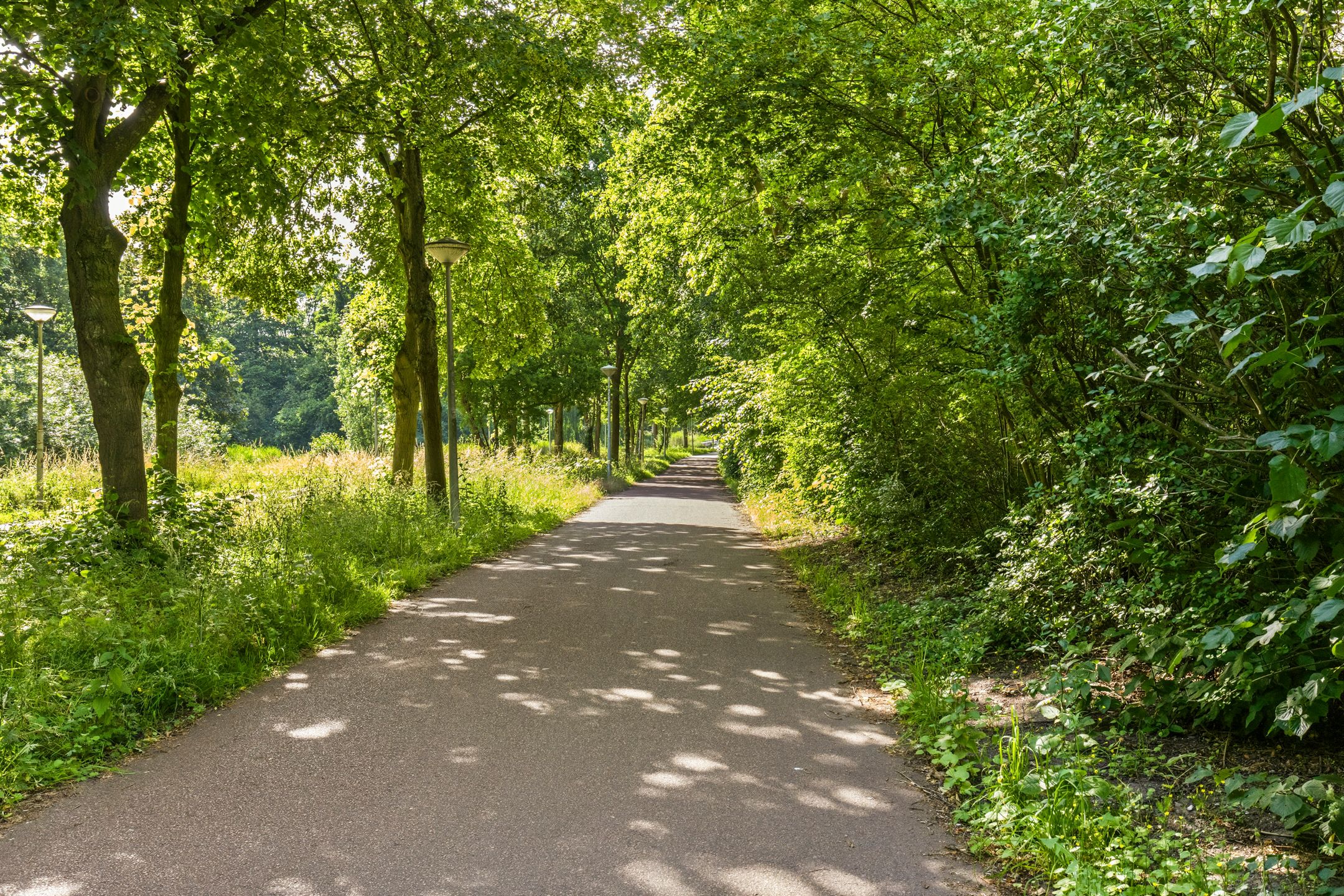 Photo 54 of Grootslagstraat 71