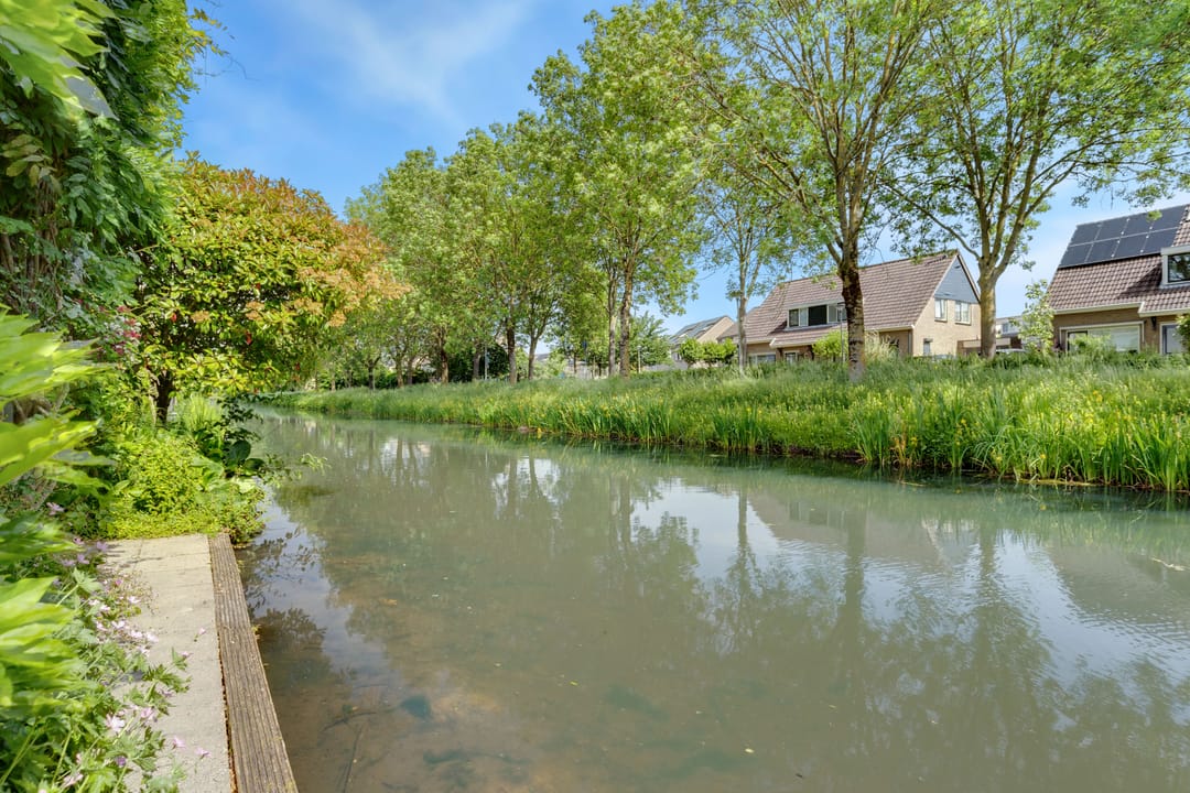 Photo 31 of Sloetmarke 71