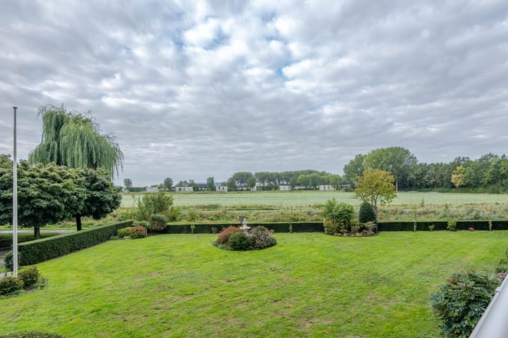 Foto 4 van Seringenplantsoen 239
