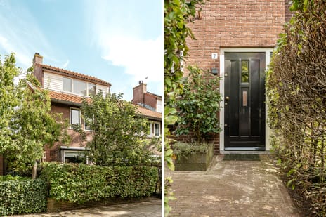 Van Raephorststraat thumbnail
