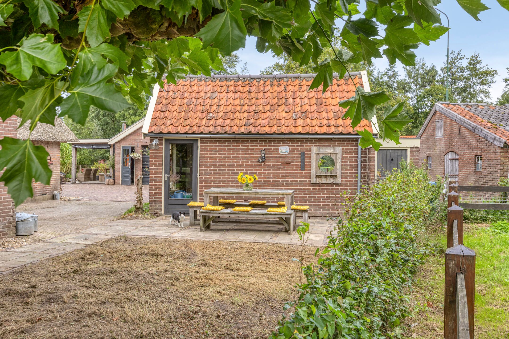 Photo 39 of Damweg 98