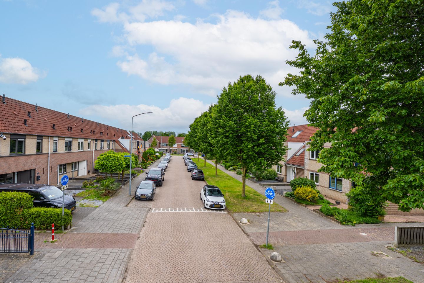 Foto 5 van Duifkruid 60