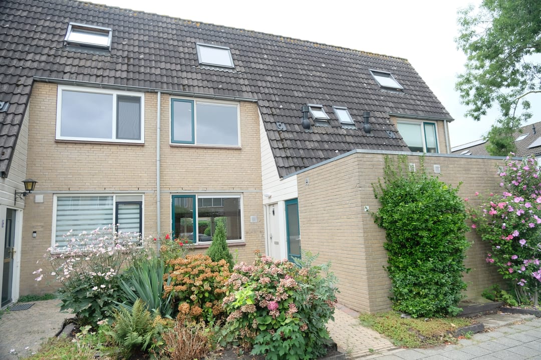 Foto 1 van Hoefblad 8
