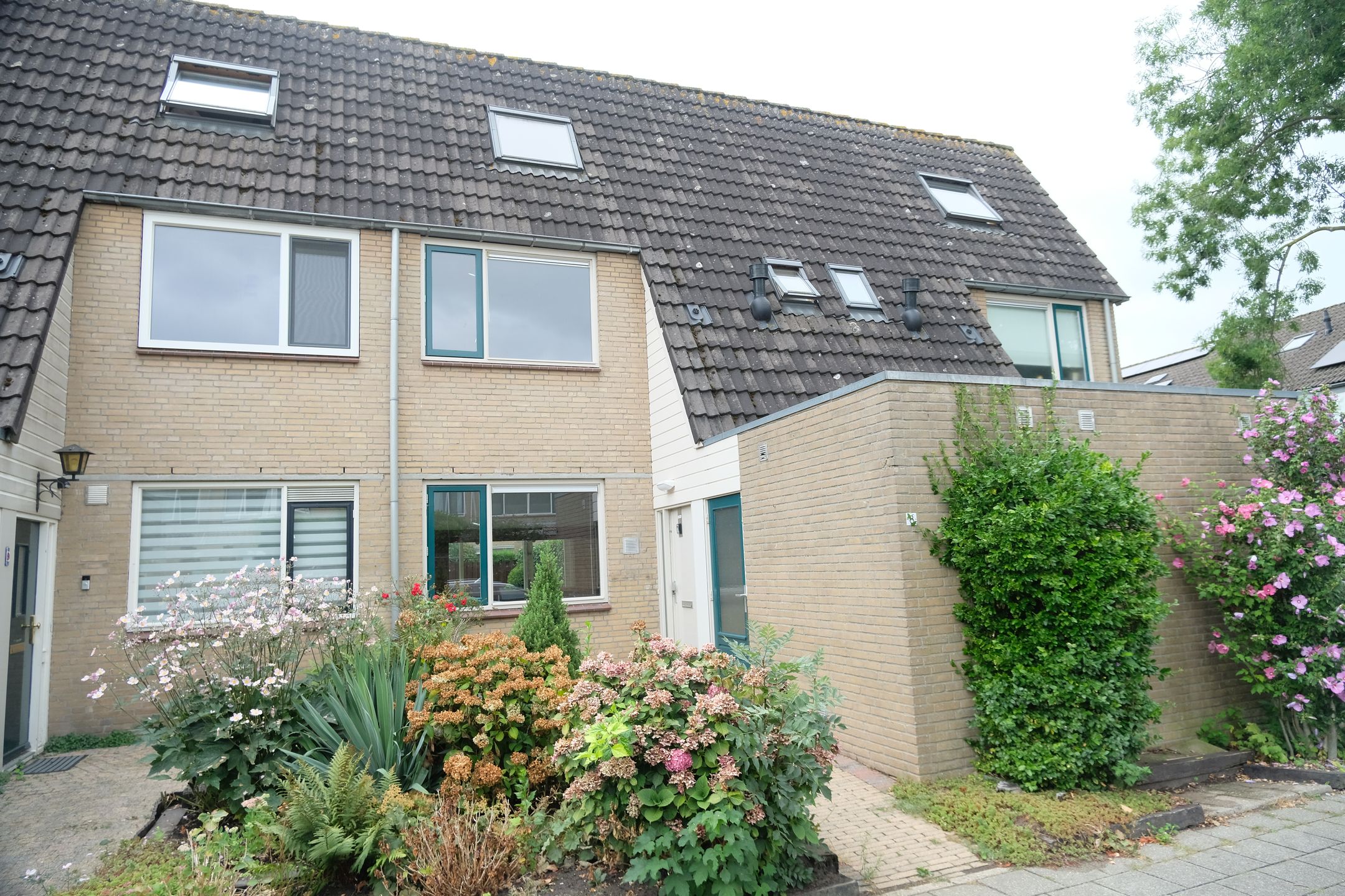 Hoefblad 8 