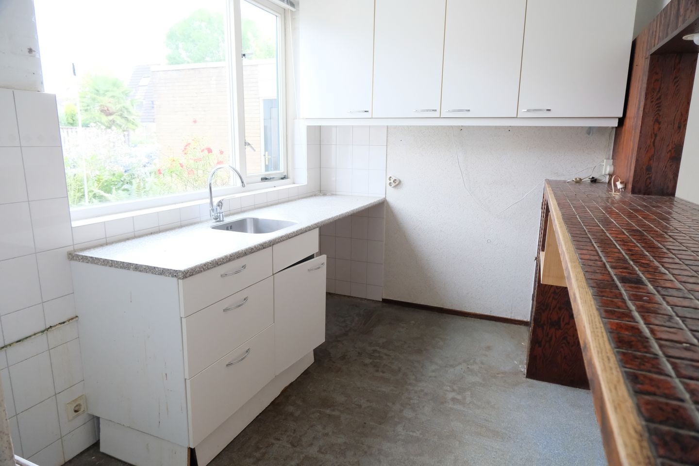 Foto 4 van Hoefblad 8