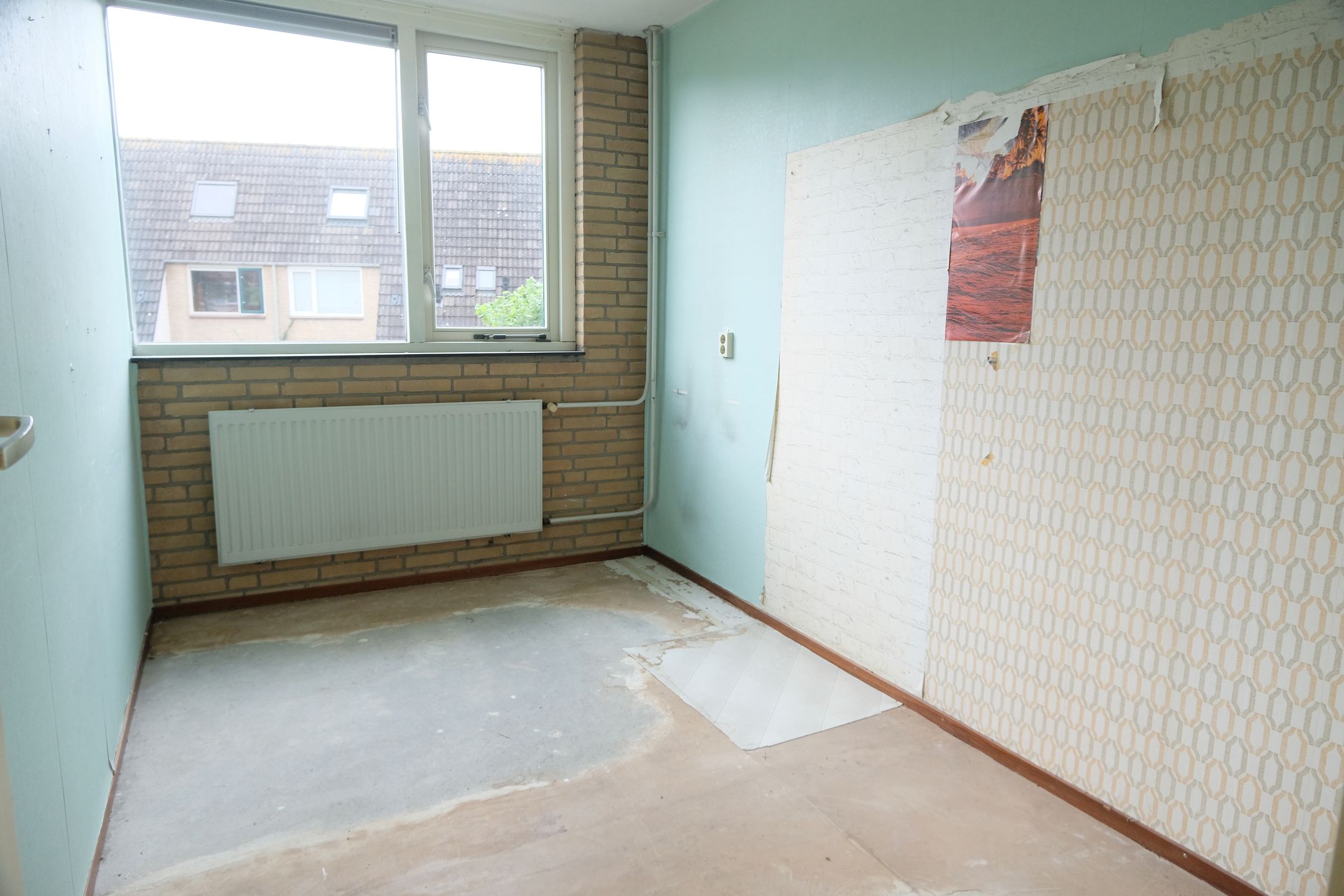 Foto 6 van Hoefblad 8