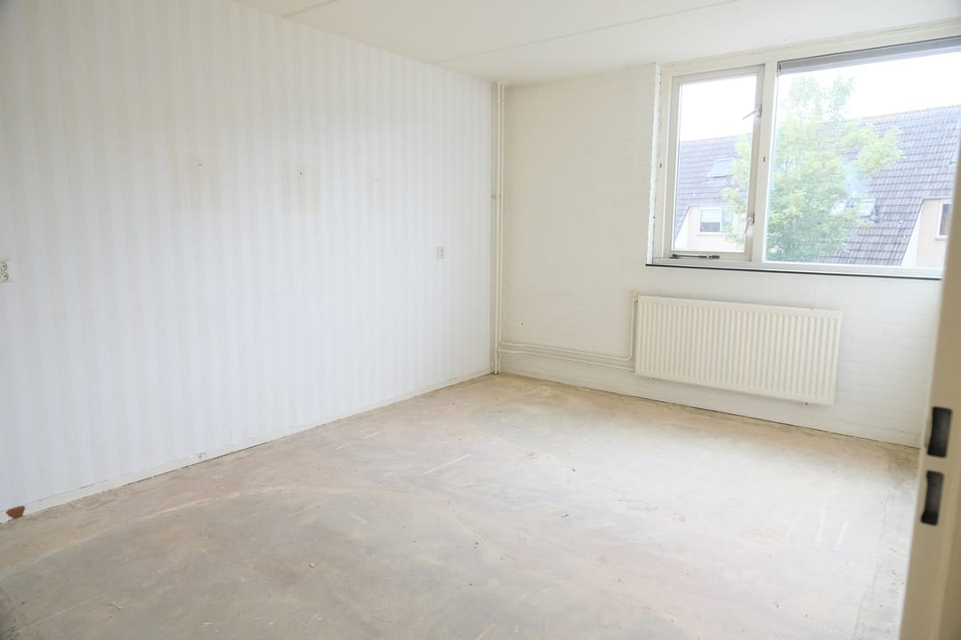 Foto 7 van Hoefblad 8