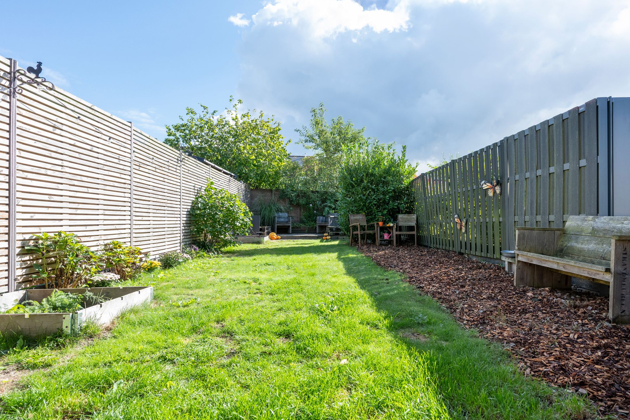 Foto 24 van Huismus 36