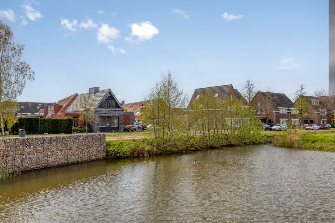 Photo 46 of Hamsesticht 3
