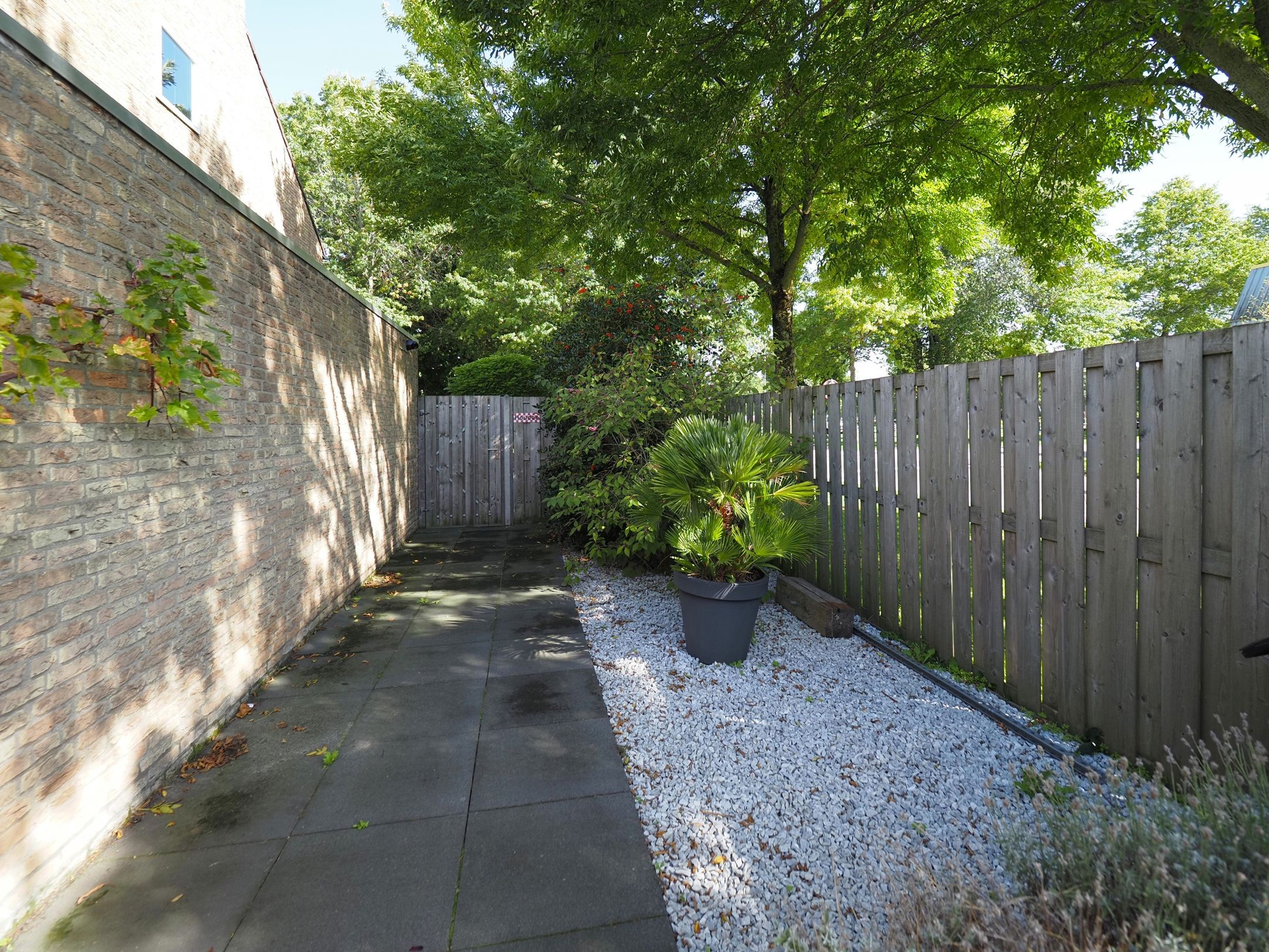 Photo 69 of Vondellaan 162