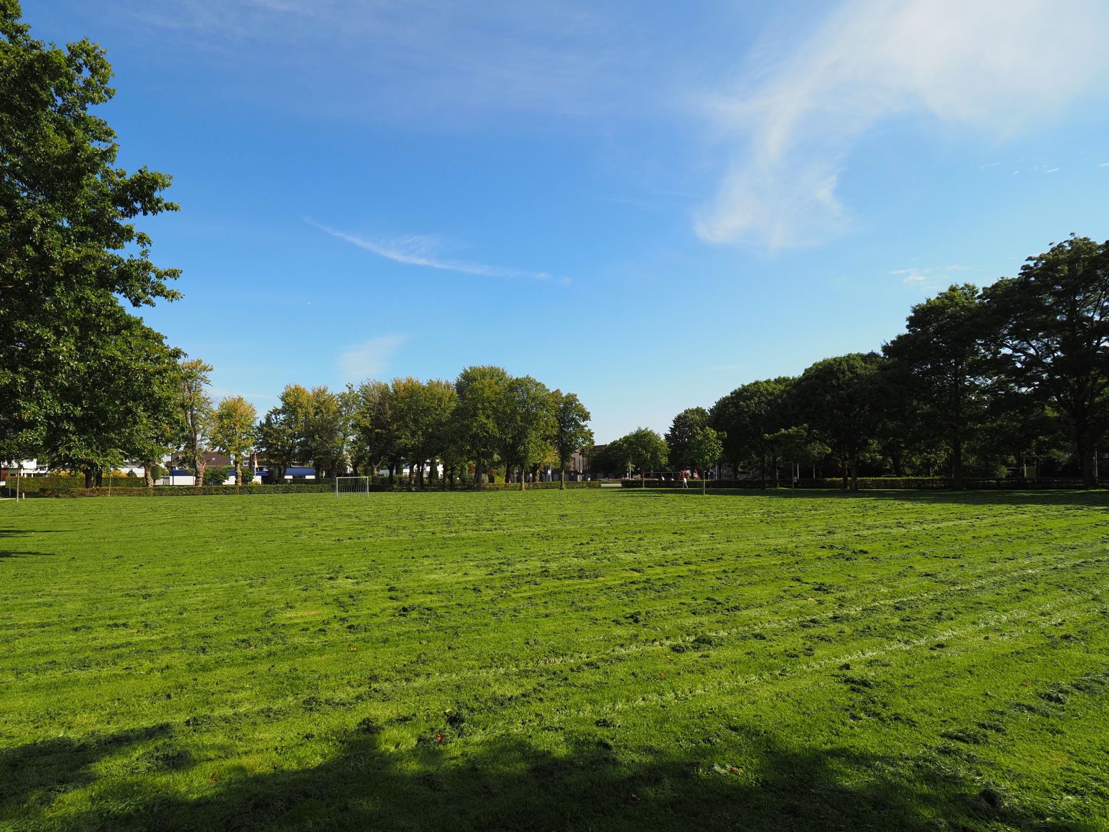 Photo 72 of Vondellaan 162