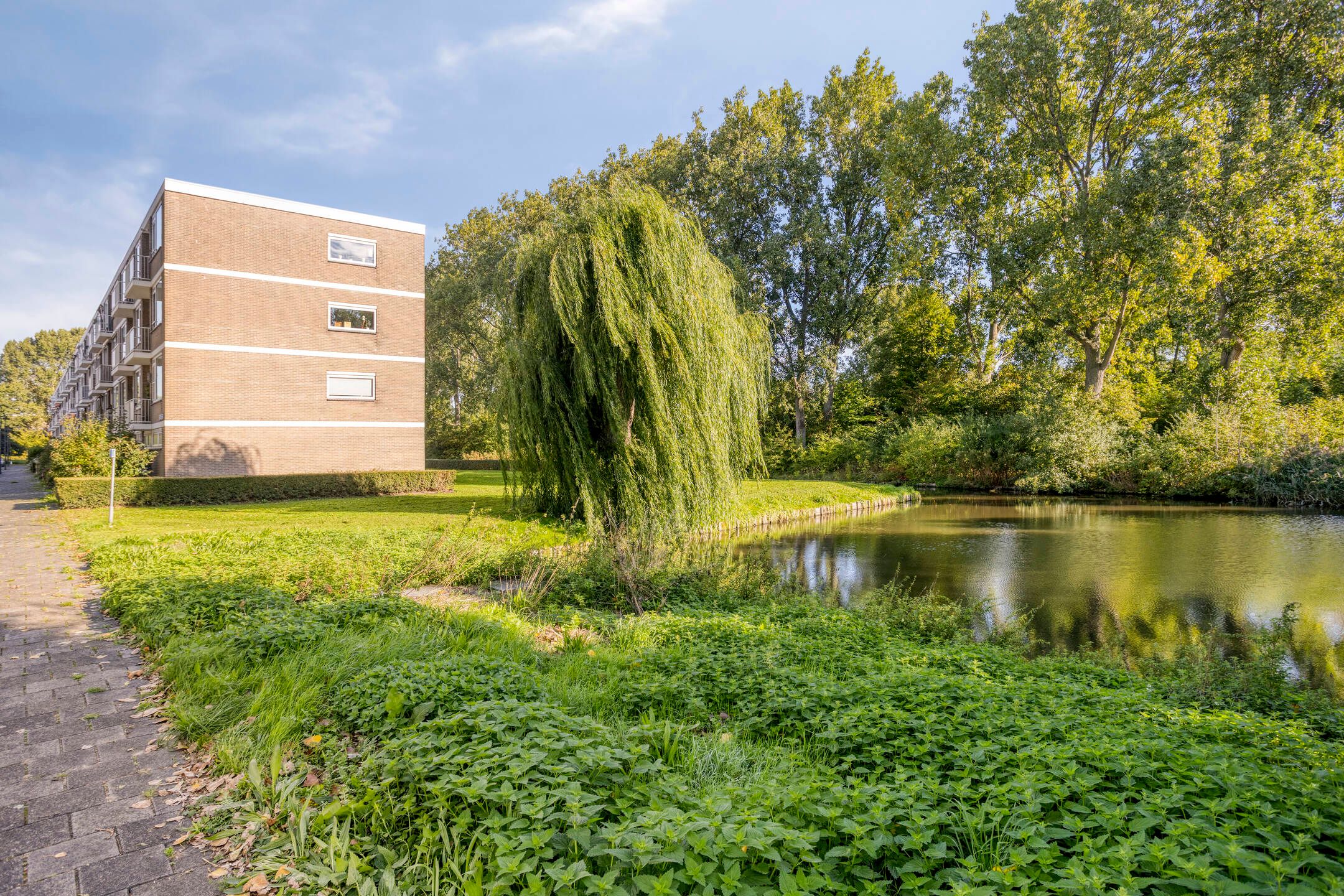 Photo 18 of Jeroen Boschstraat 109