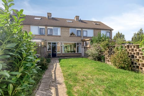 Brederolaan thumbnail