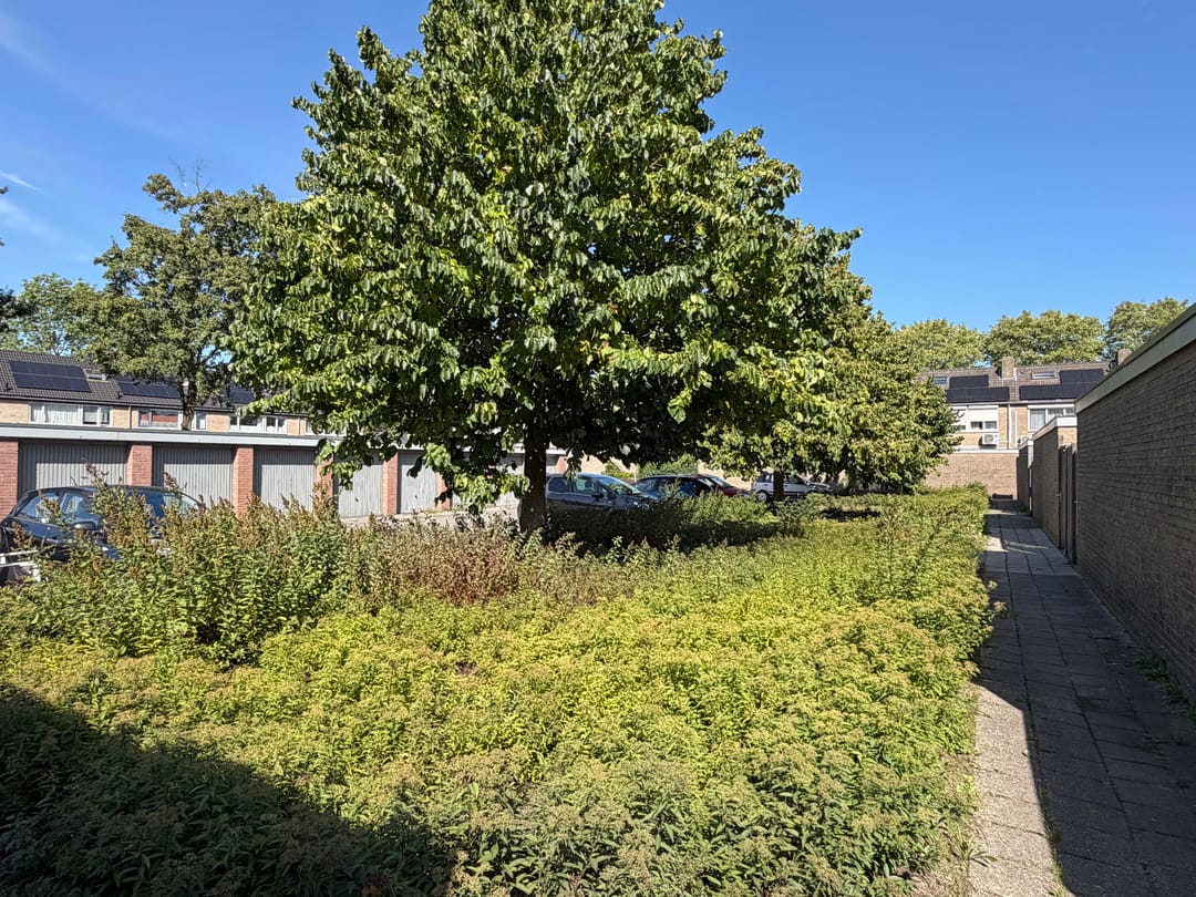 Foto 13 van E E G laan 15