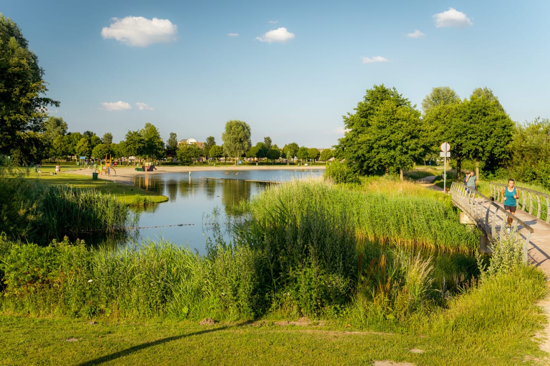 Foto 47 van Koning Willem-Alexanderplantsoen 25