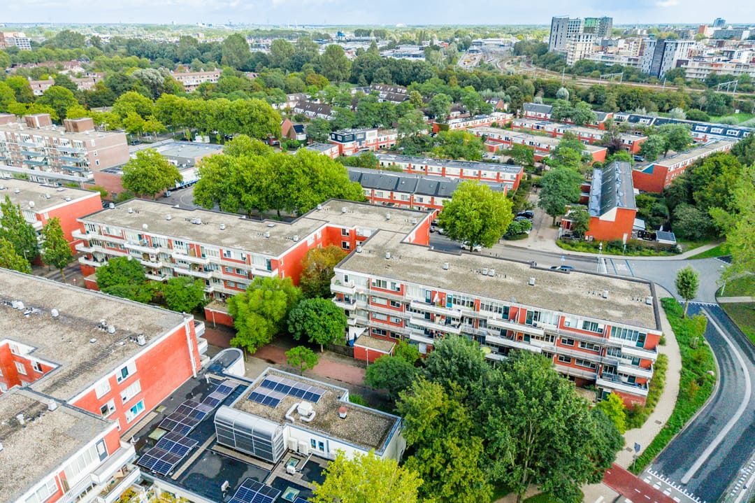 Foto 41 van Sint Janskruid 76
