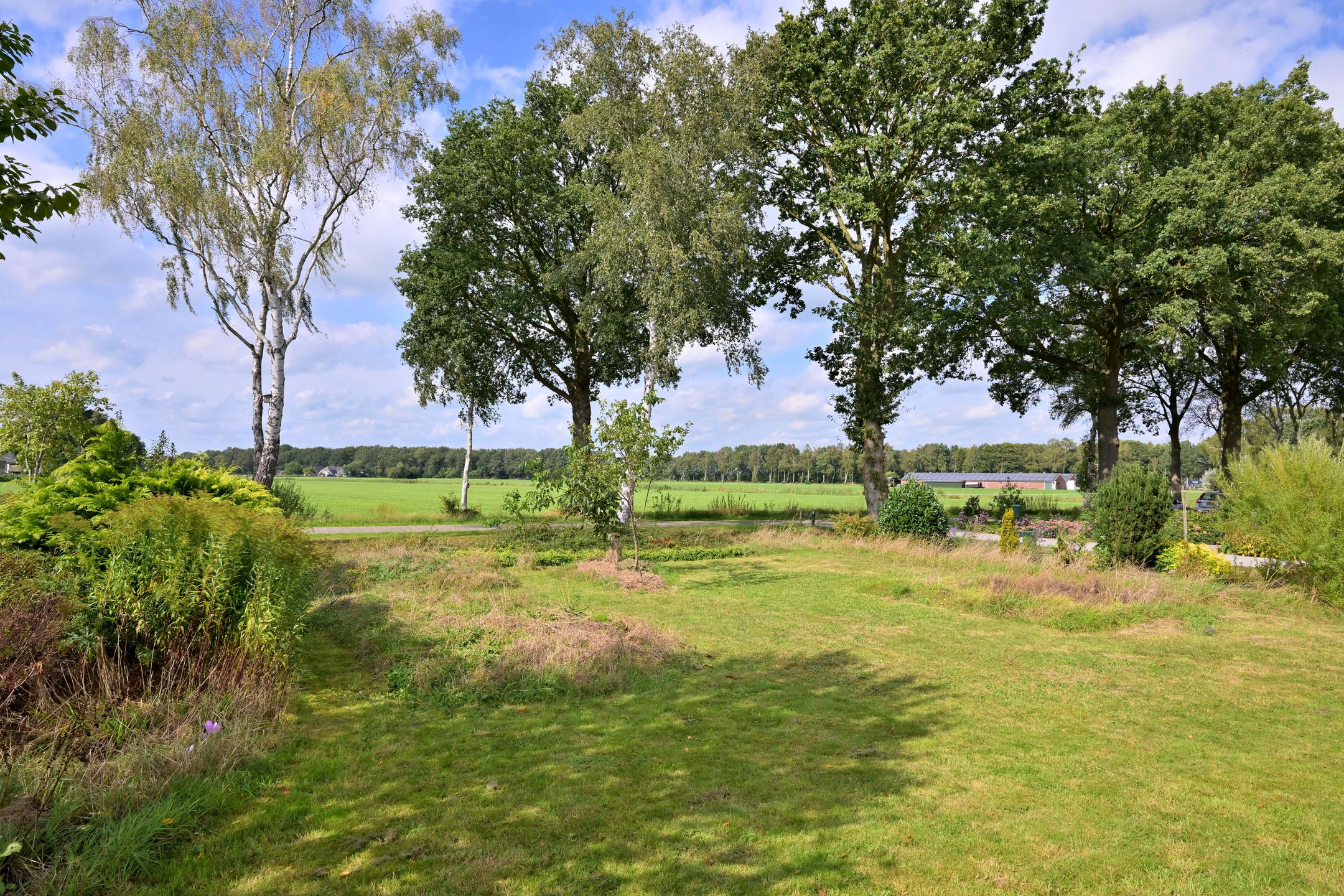 Foto 45 van Schaarsweg 5
