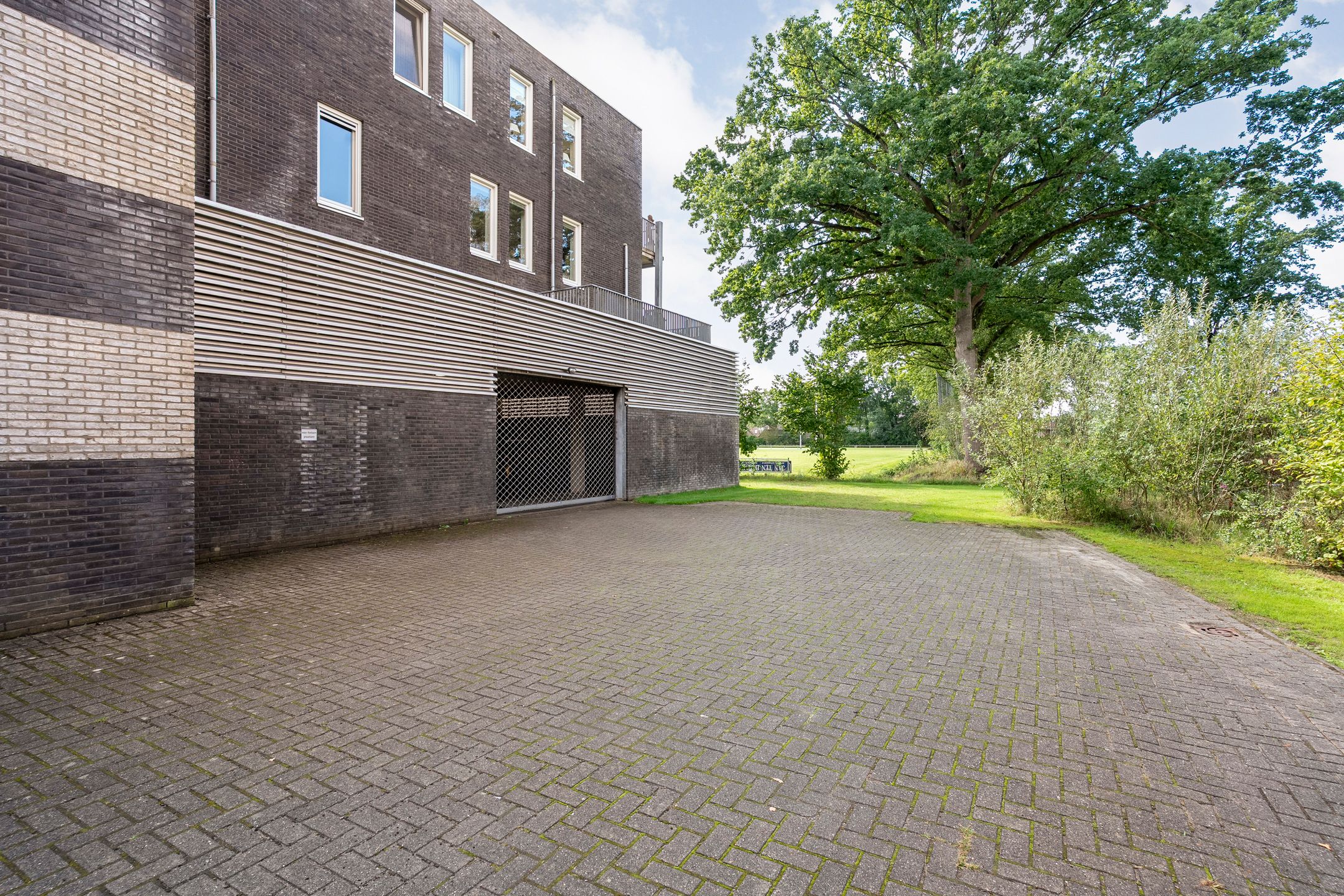 Foto 45 van Havelter Schapendrift 22-13
