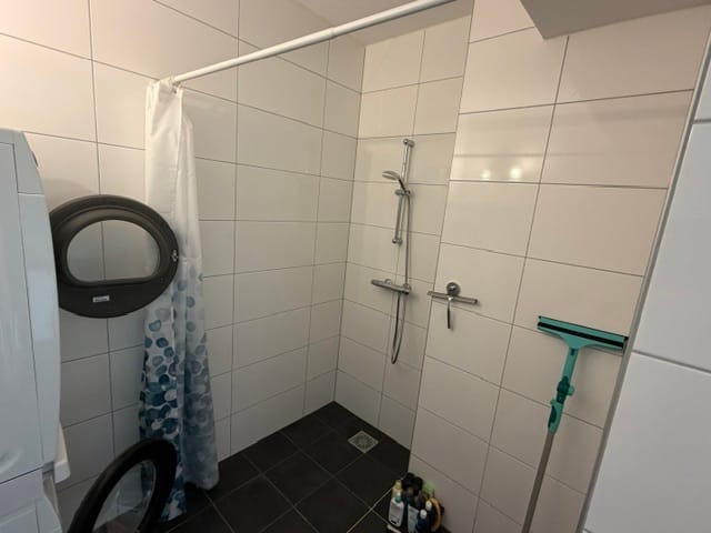 Foto 12 van Ringslang 2-B