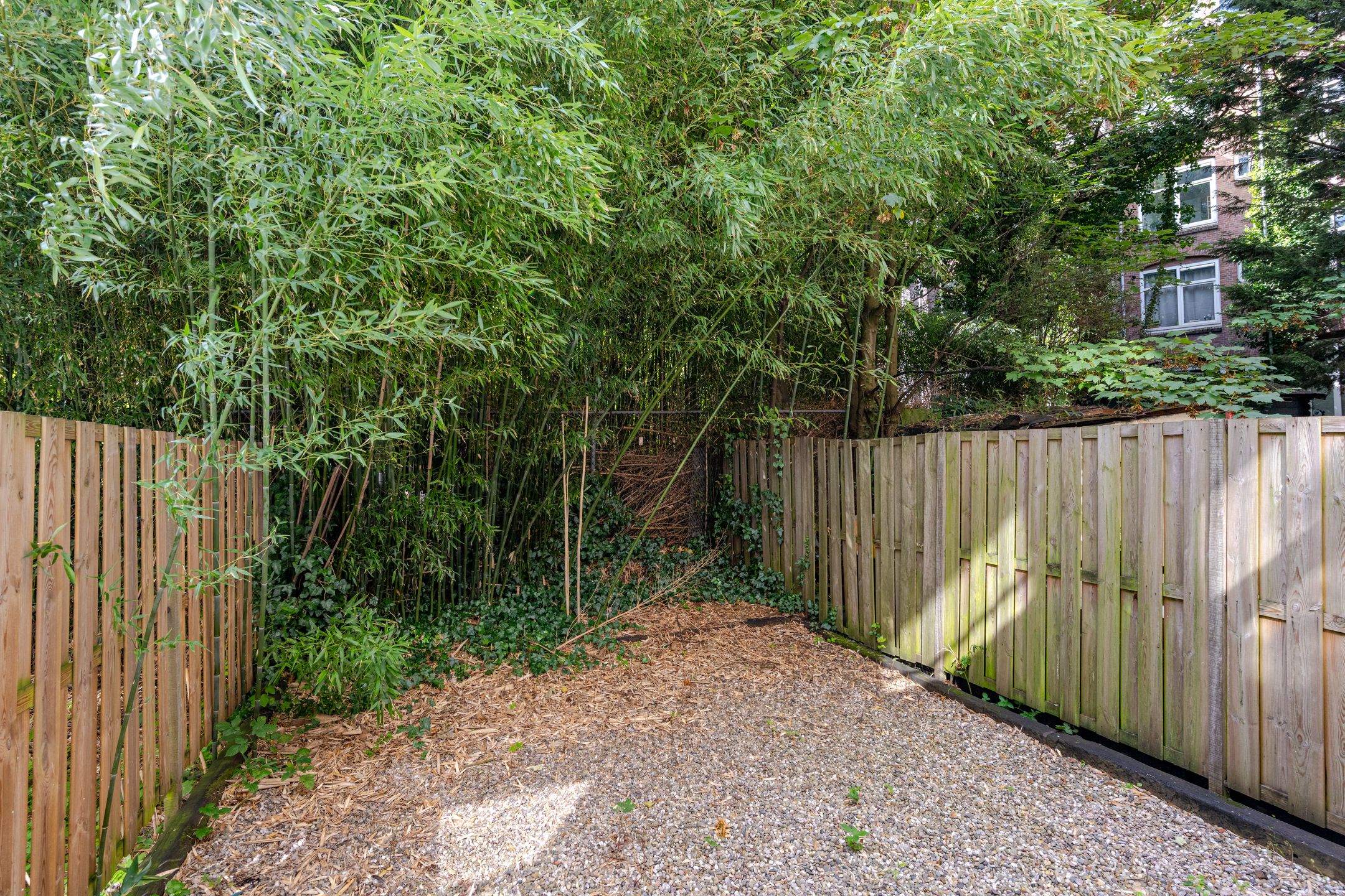 Photo 3 of Schaepmanstraat 9-B