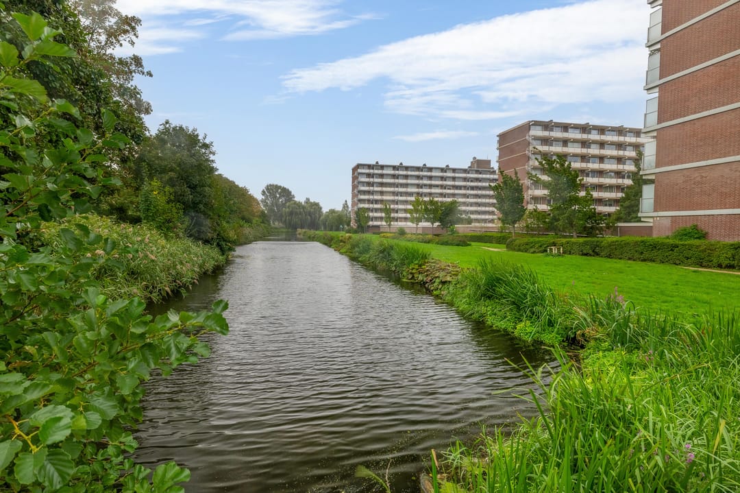 Photo 41 of Alkenoord 317