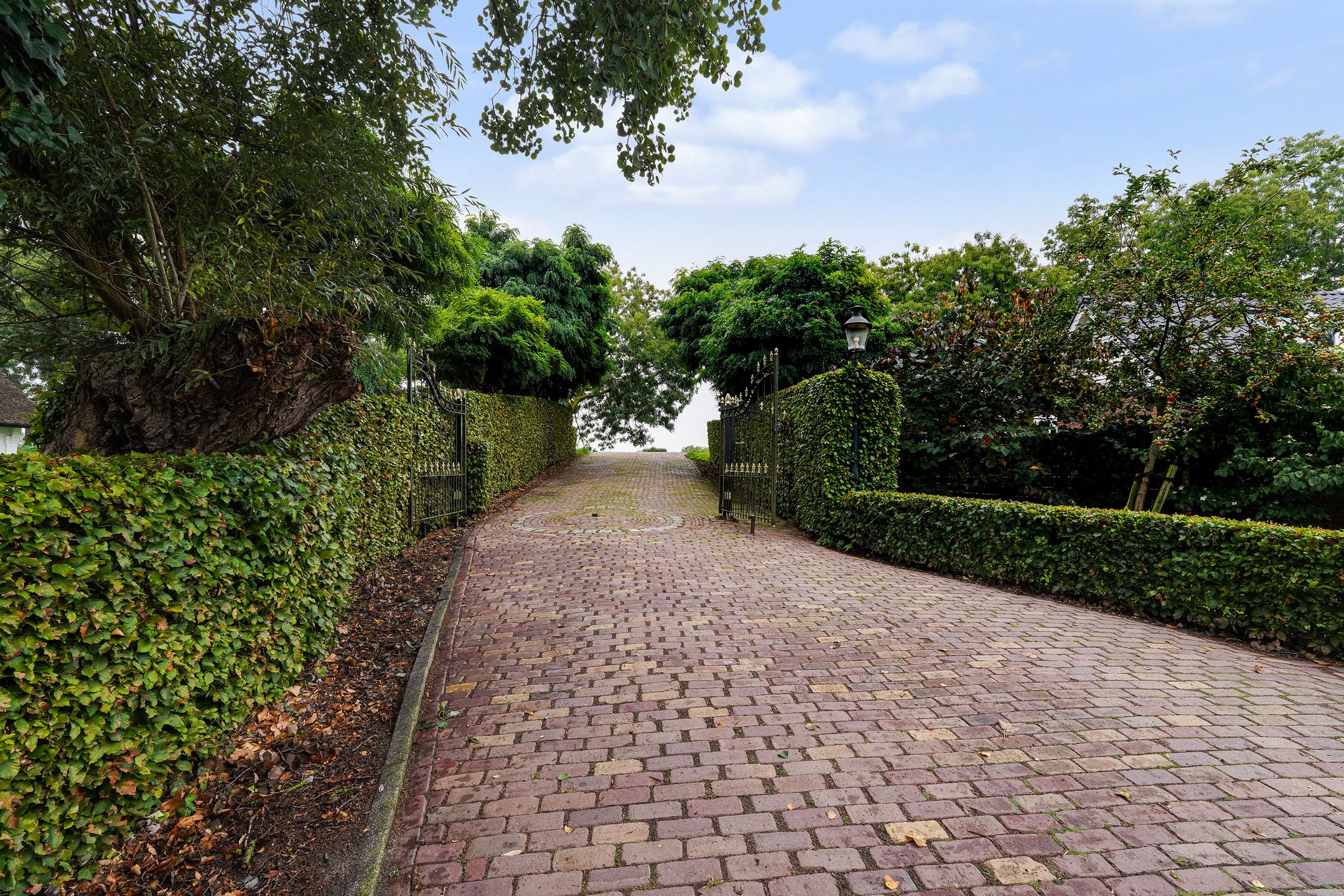 Photo 51 of Winterdijk 21