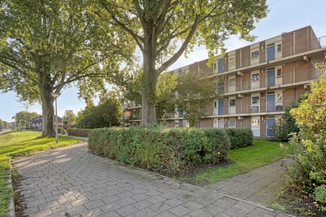 Andijkstraat thumbnail