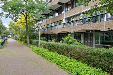 Leeuwenwerf thumbnail