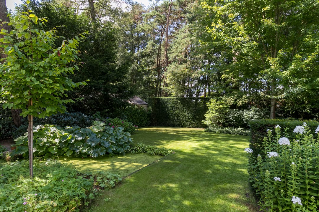 Photo 13 of Blokvenlaan 47