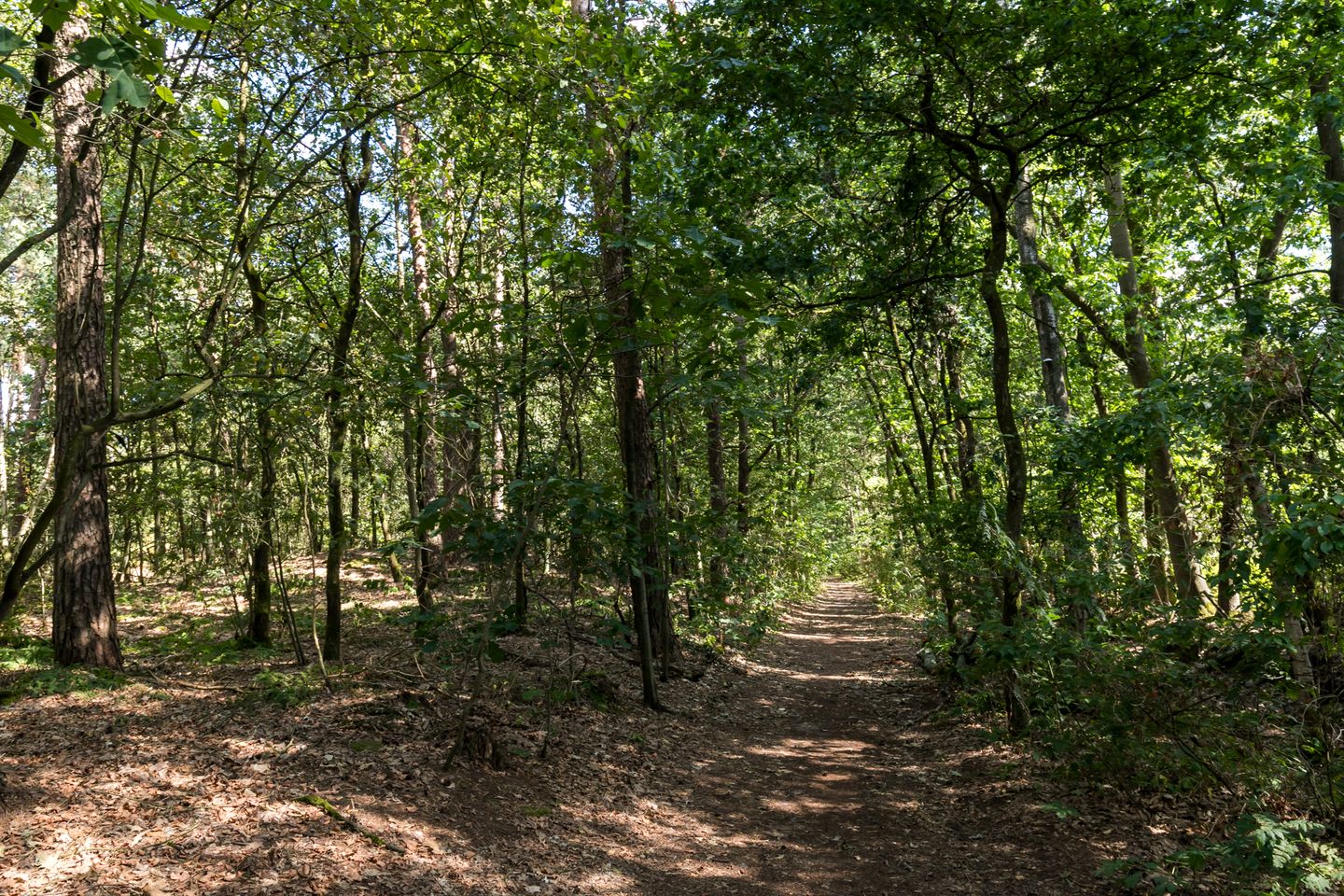 Photo 29 of Blokvenlaan 47