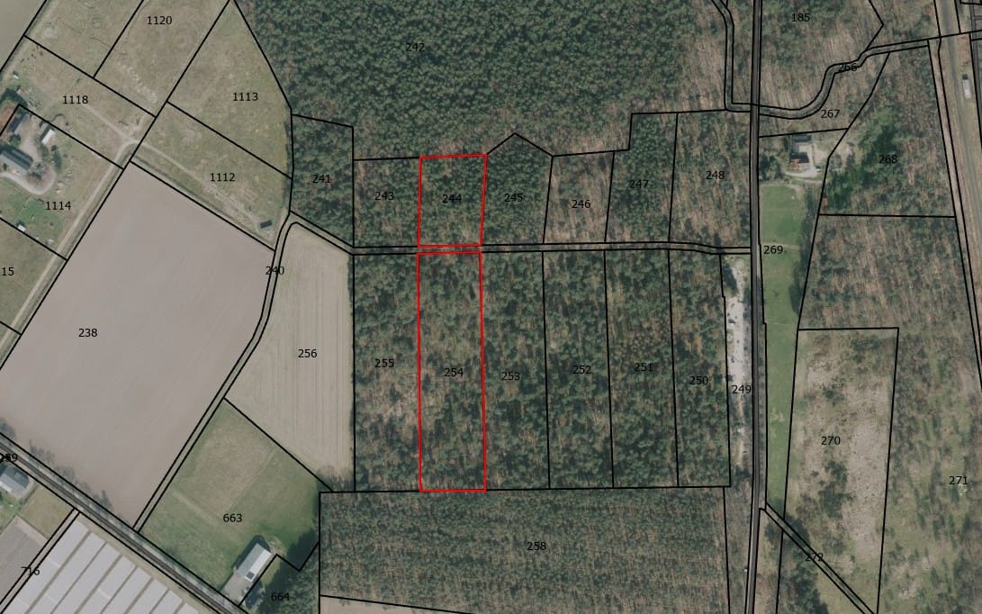Meerlosebaan - Grubbenvorst - Afbeelding 1