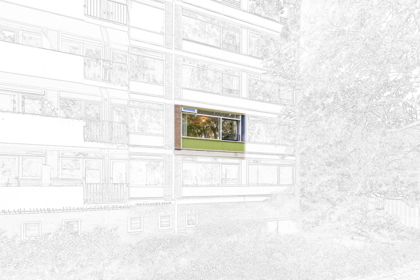Foto 5 van Haverkamp 377