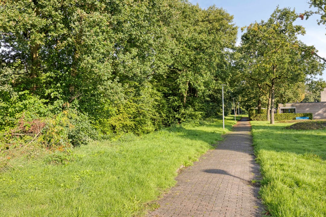Foto 47 van Citroenvlinder 17