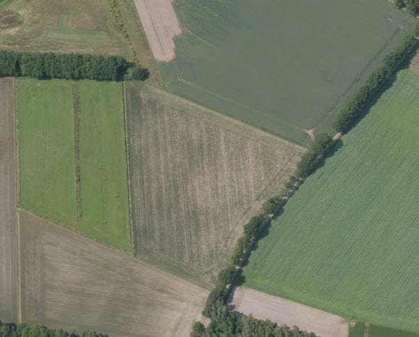 Bekijk foto 3 van Hamelendijk en Buspad