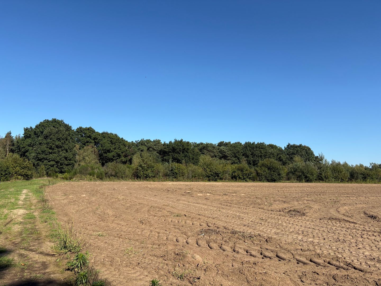 Bekijk foto 5 van Meerlosebaan