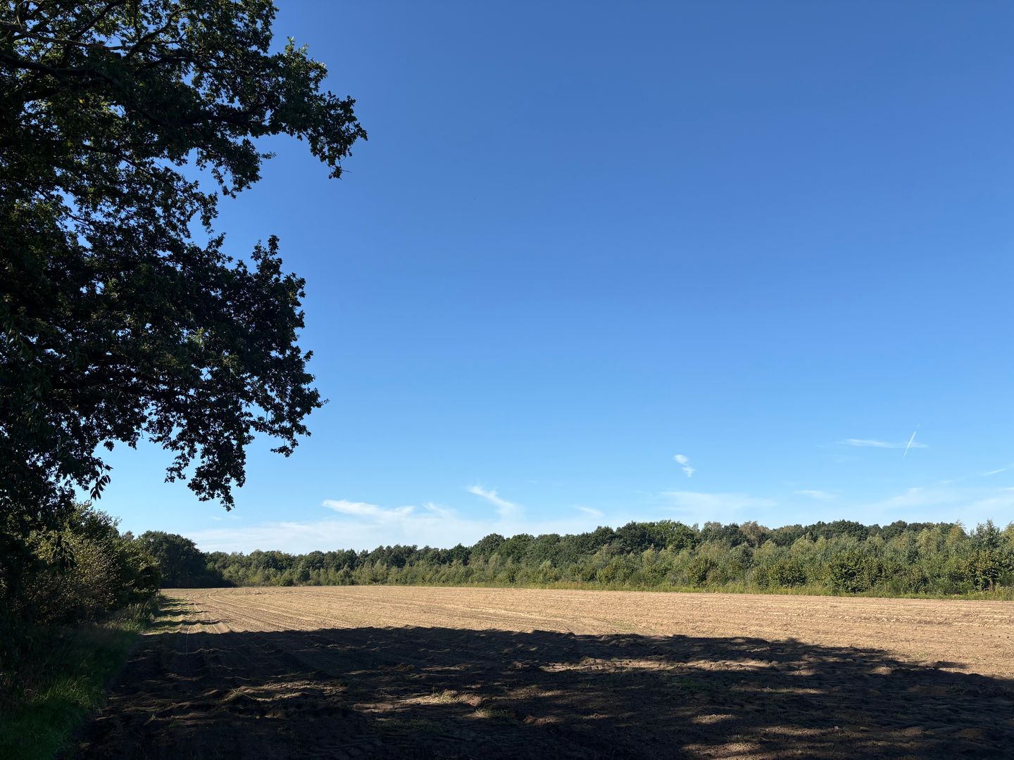 Bekijk foto 2 van Meerlosebaan